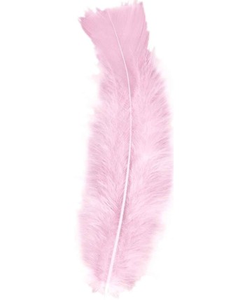 BOLSA PLUMAS CHIC ROSAS PASTEL