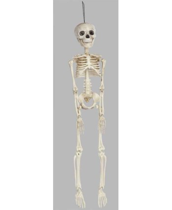 ESQUELETO COLGANTE ESQUELETO COLGANTE