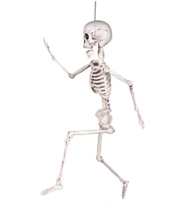 ESQUELETO BLANCO ARTICULADO