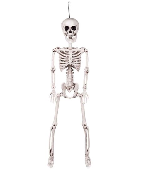 ESQUELETO BLANCO ARTICULADO