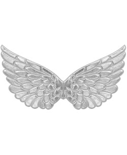 ALAS PLATEADAS ANGEL TELA 2