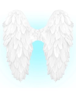 ALAS ANGEL PLUMAS DELUXE 2