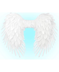 ALAS ANGEL PLUMAS GRANDES