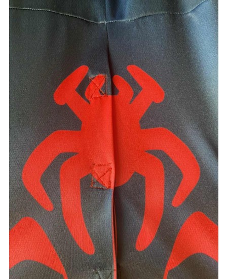 DISFRAZ DE SPINNGID PREESCHOOL