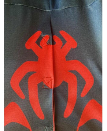 DISFRAZ DE SPINNGID PREESCHOOL