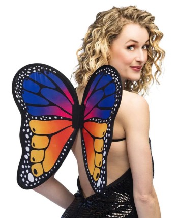 ALAS DE MARIPOSA COLORES