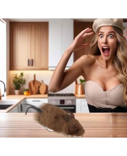 RATA MARRON CON CUERDA 2