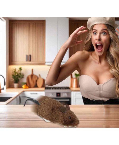 RATA MARRON CON CUERDA