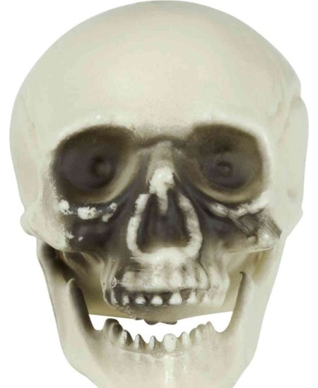 CALAVERA PEQUEÑAS 6 UNIDADES