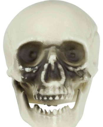 CALAVERA PEQUEÑAS 6 UNIDADES