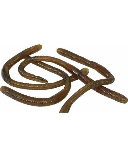 GUSANO LARVA VISCOSA