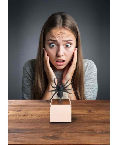 CAJA CON ARAÑA DE BROMA