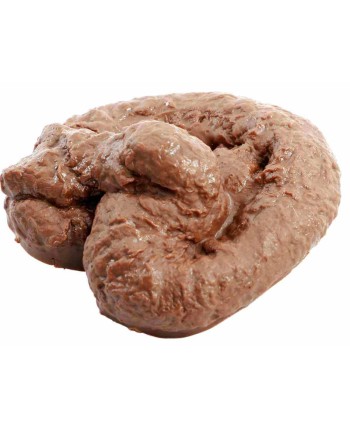 CACA PLASTICO PARA BROMA