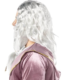 PELUCA Y BARBA DUMBLEDORE HARRY POTTER 2