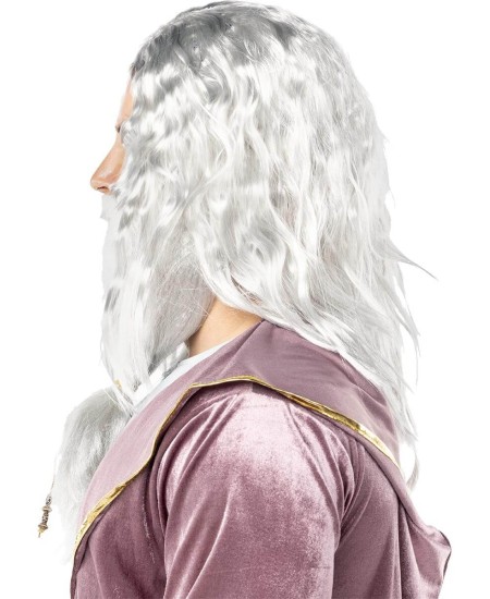 PELUCA Y BARBA DUMBLEDORE HARRY POTTER