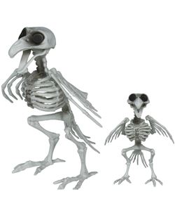 ESQUELETO CUERVO, 20 CM | Complemento Halloween