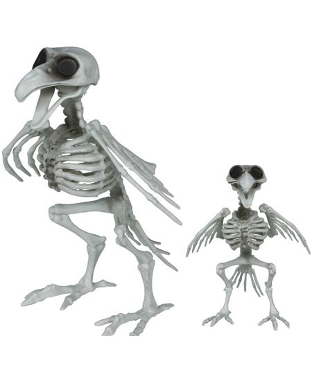 ESQUELETO CUERVO, 20 CM | Complemento Halloween