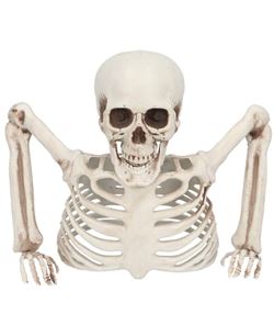Esqueleto Decorativo 20 cm | Halloween