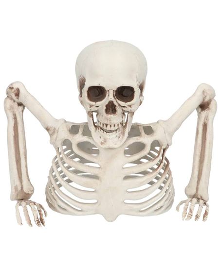 Esqueleto Decorativo 20 cm | Halloween