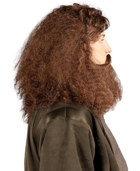 Peluca de Hagrid con barba Harry Potter | Complementos
