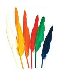 SET PLUMA INDIO 12 UNIDADES 25 CM.