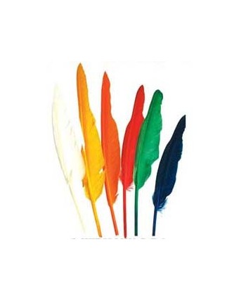 SET PLUMA INDIO 12 UNIDADES 25 CM.