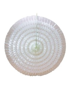 ABANICO NIDO DE ABEJA BLANCO