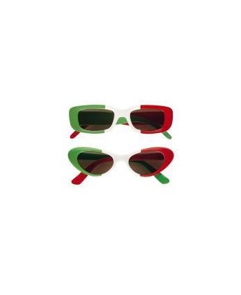 GAFAS EUSKADI 2 MODELOS