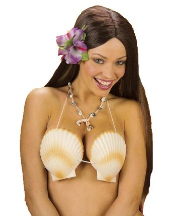 SUJETADOR CONCHAS