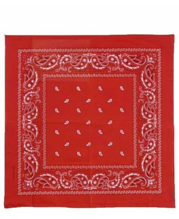 PAÑUELO BANDANA ROJA