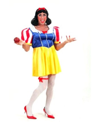 DISFRAZ DE REINA BLANCA CHICO