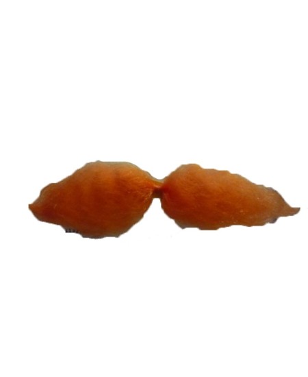 BIGOTE MOSTACHO BUTANO