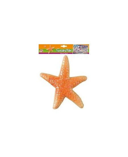 Estrella de Mar Decoracion 22 cm | La Casa de las Fiestas