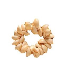 Pulsera de conchas para disfraz hawaiano