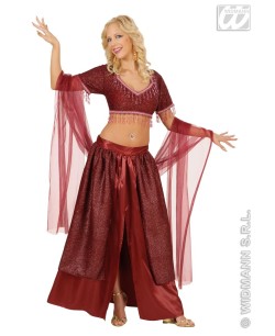 Comprar Disfraz Sexy de talla grande XL para adultos y mujeres, disfraz  árabe para actuación de danza del vientre, disfraces de Carnaval y  Halloween