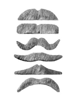 BIGOTE CANOSO PEQUEÑO 6 MODELOS ADHESIVO