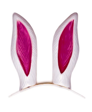 OREJAS DE CONEJO OREJAS DE CONEJO