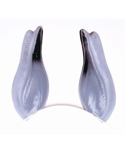 OREJA ASNO BURRO