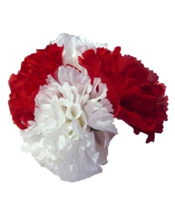 FLOR ROJA Y BLANCA CUADRUPLE