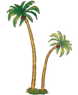 SET 2 PALMERAS