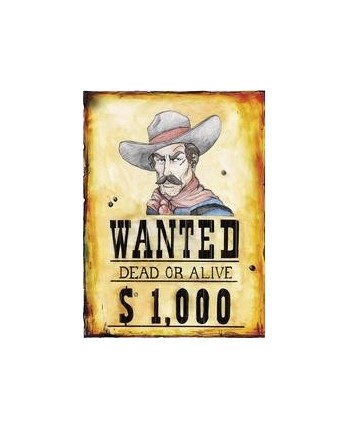 POSTER WESTERN POSTER WESTERN