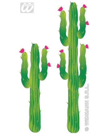 SET 2 CACTUS