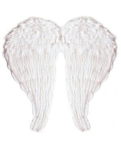 ALAS ANGEL PLUMA