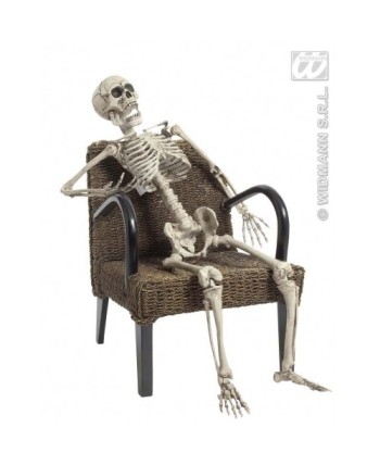 ESQUELETO MOVIL 160 CMS.