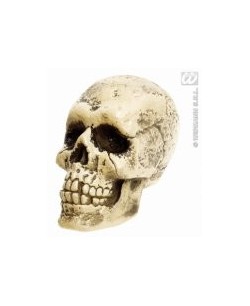 CALAVERA PARA COLGAR 25 CMS.