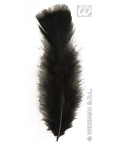 Pequeñas plumas negras: Decoración,y disfraces originales baratos