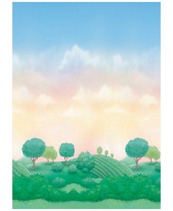 DECORACIÓN PARED JARDIN DE PRINCESAS