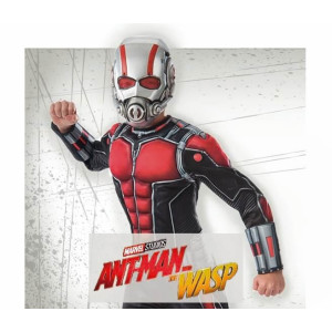 Disfraces Ant Man and The Wasp