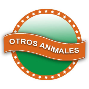 Otros Animales